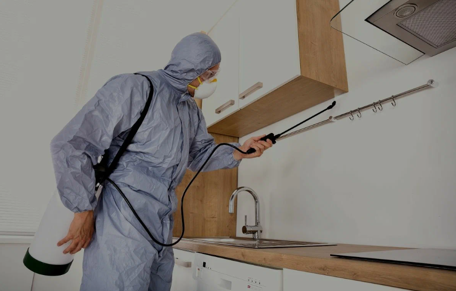 Bell Gardens pest managment